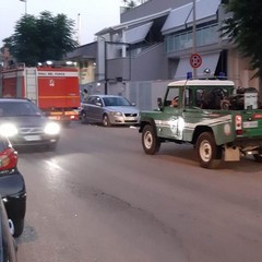 Incendio di sterpaglie nei pressi di via Vecchia Barletta