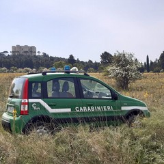 controlli delle Forze dell'ordine