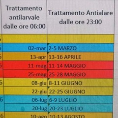 calendario