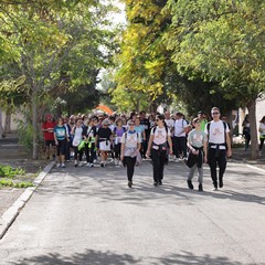 Camminata tra gli Olivi 2025