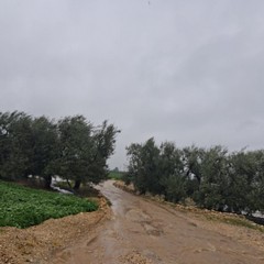 campagne allagate e piccoli smottamenti