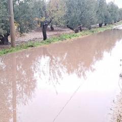 campagne allagate e piccoli smottamenti