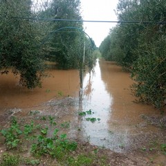 campagne allagate e piccoli smottamenti