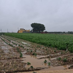 campagne allagate e piccoli smottamenti