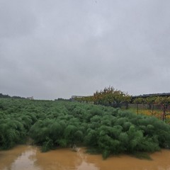 campagne allagate e piccoli smottamenti