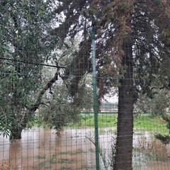 campagne allagate e piccoli smottamenti