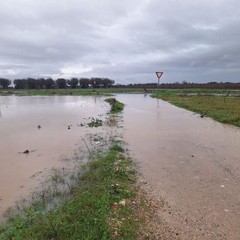 campagne allagate e piccoli smottamenti