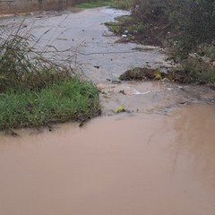 campagne allagate e piccoli smottamenti