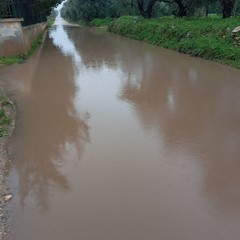 campagne allagate e piccoli smottamenti