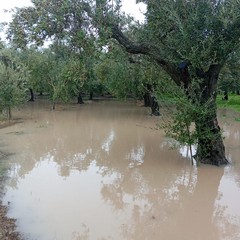 campagne allagate e piccoli smottamenti