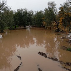 campagne allagate e piccoli smottamenti