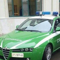 Carabinieri forestale