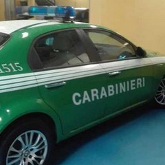 Carabinieri forestale