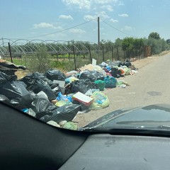cumuli di rifiuti in contrada Lama di Carro