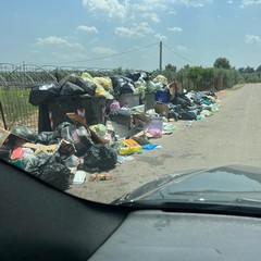 cumuli di rifiuti in contrada Lama di Carro