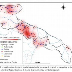 Incidenti automobilisti causati dai cinghiali