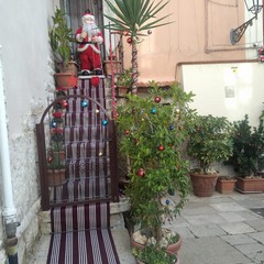 Tanti colori e luci per il Santo Natale al 3° vicolo Casalino