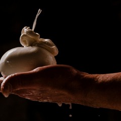 Caseificio Famiglia Olanda