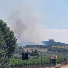 Vasto incendio a Castel del Monte