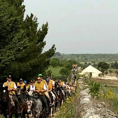 Da Castel del Monte, a cavallo per i parchi