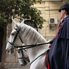 Sfilano per Andria le Carabiniere a cavallo