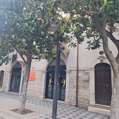 scarsa luminosità a causa delle magnolie presenti