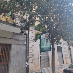 scarsa luminosità a causa delle magnolie presenti