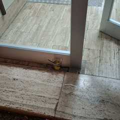 Galleria di corso Cavour: degrado, inciviltà ed insicurezza la fanno da padrone!