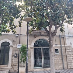 scarsa luminosità a causa delle magnolie presenti