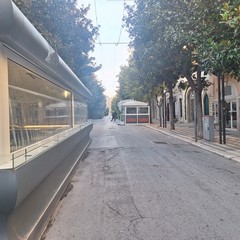 scarsa luminosità a causa delle magnolie presenti