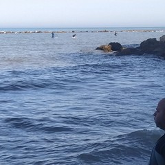 Il Centro Sub Andria e l'associazione Suppiamo ripuliscono alcune spiagge di Trani