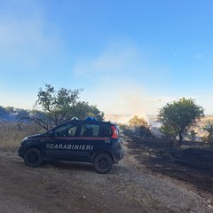 Vasto incendio sulla Murgia: 200 ettari percorsi dalle fiamme