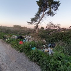 rifiuti abbandonati nelle campagne di Andria