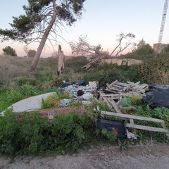 rifiuti abbandonati nelle campagne di Andria