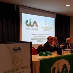 Cia assemblea intervento Di Gioia