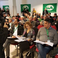 CIA assemblea platea