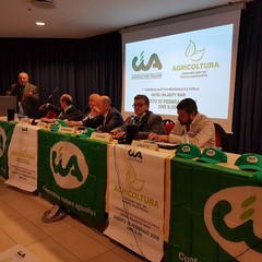 Cia assemblea tavolo