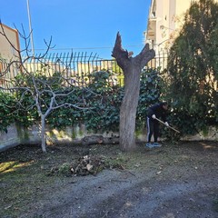 giardino di piazza Augusto Murri