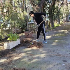 giardino di piazza Augusto Murri