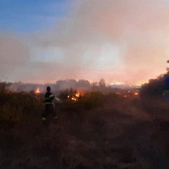 Incendio sulla sx sp 231, direzione Corato nella zona industriale di Andria
