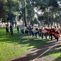 Corsa campestre