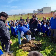 laboratorio di piantumazione di alberi e di ortaggi al plesso di "Giovanni Paolo II" del 3°C.D. “Cotugno”