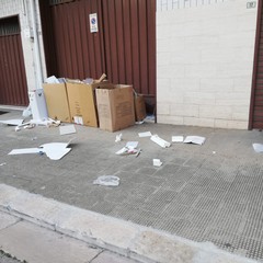 perennemente in ritardo la raccolta carta in via Goffredo Normanno