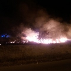 Vasto incendio di sterpaglia