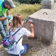 La via Francigena, una valida occasione di sviluppo per il turismo culturale