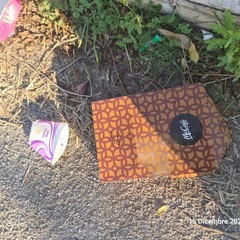 Zona PIP invasa dai rifiuti delle attività della ristorazione