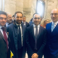 il tavolo dell'emergenza olivicola