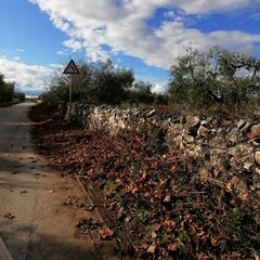 Sempre più precaria la viabilità verso Montegrosso e Canosa di Puglia