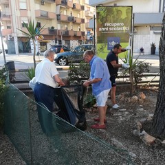 la cura dei giardinetti di piazzale Giuseppe Colasanto