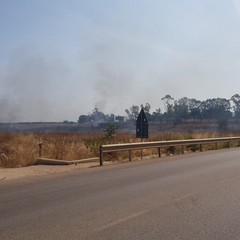 Incendio in contrada Lamapaola: a fuoco semiarborato e cumuli di rifiuti